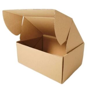 Hộp Carton 3 Lớp 05