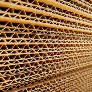 Giấy Carton