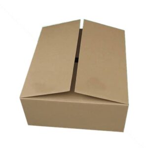 Hộp Carton