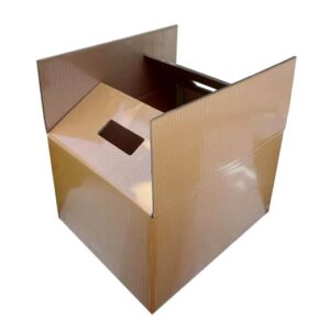 Thùng Carton